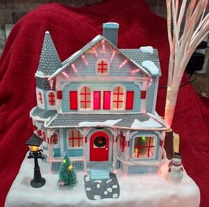 Holiday fiber optic house